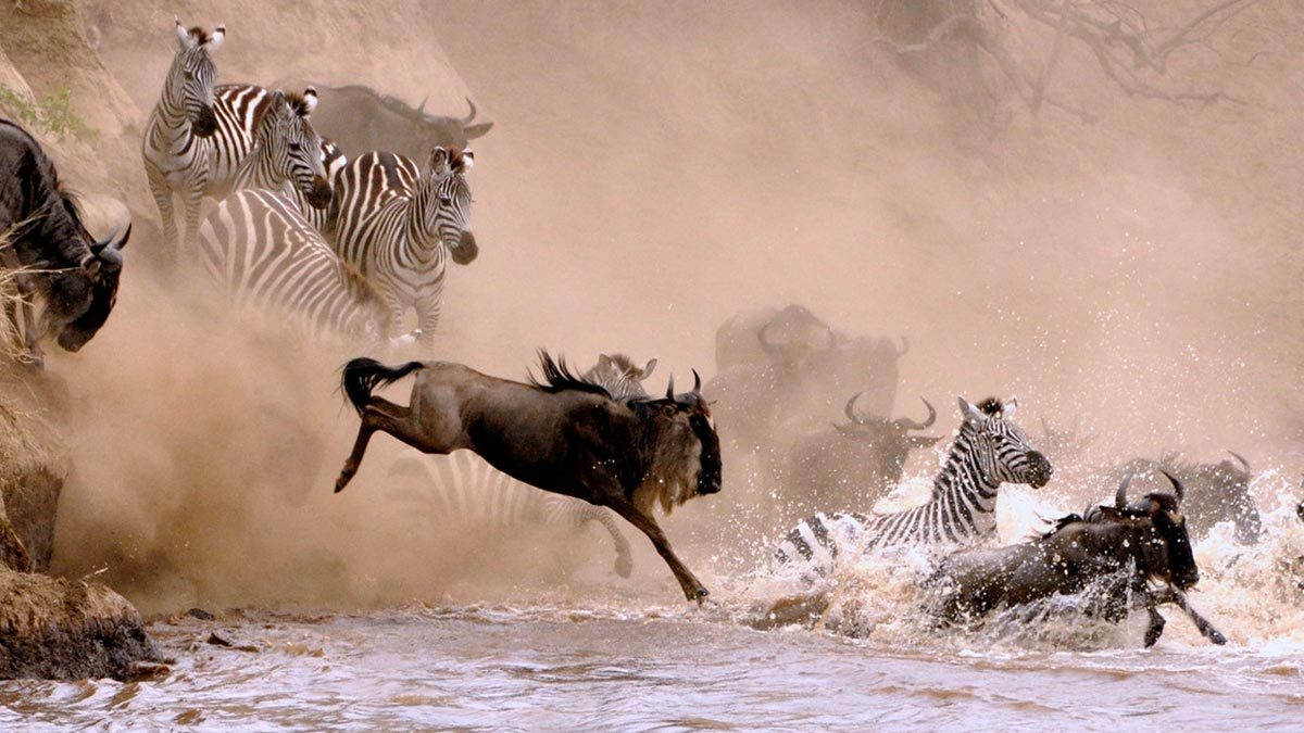 Serengeti National park