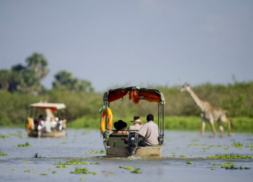 3 Days 2 nights From Zanzibar to Selous Game Reserve