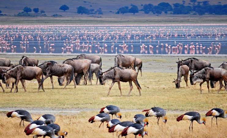 Lake Manyara